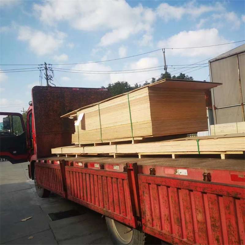 河南新乡延津县至塔城货运专线，一站式物流服务助您成功